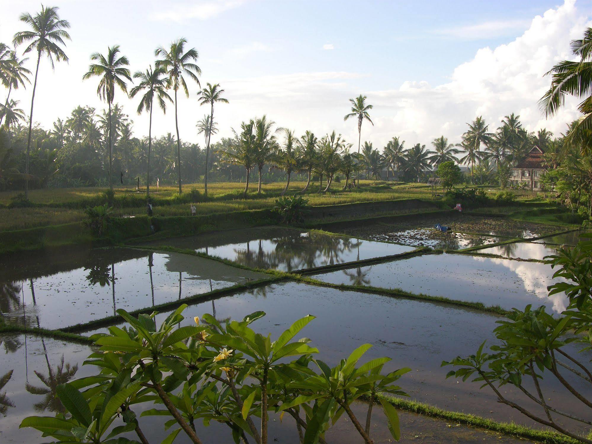 Villa Sabandari Ubud Exterior foto